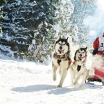 Zink ist wieder topaktuell
