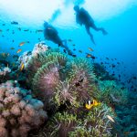 Die starke Gesundheit der Bewohner Okinawas