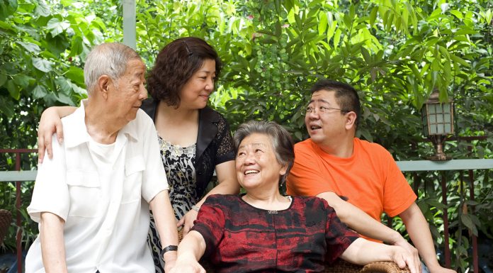 Konjak – die vielseitige Wurzel aus Asien